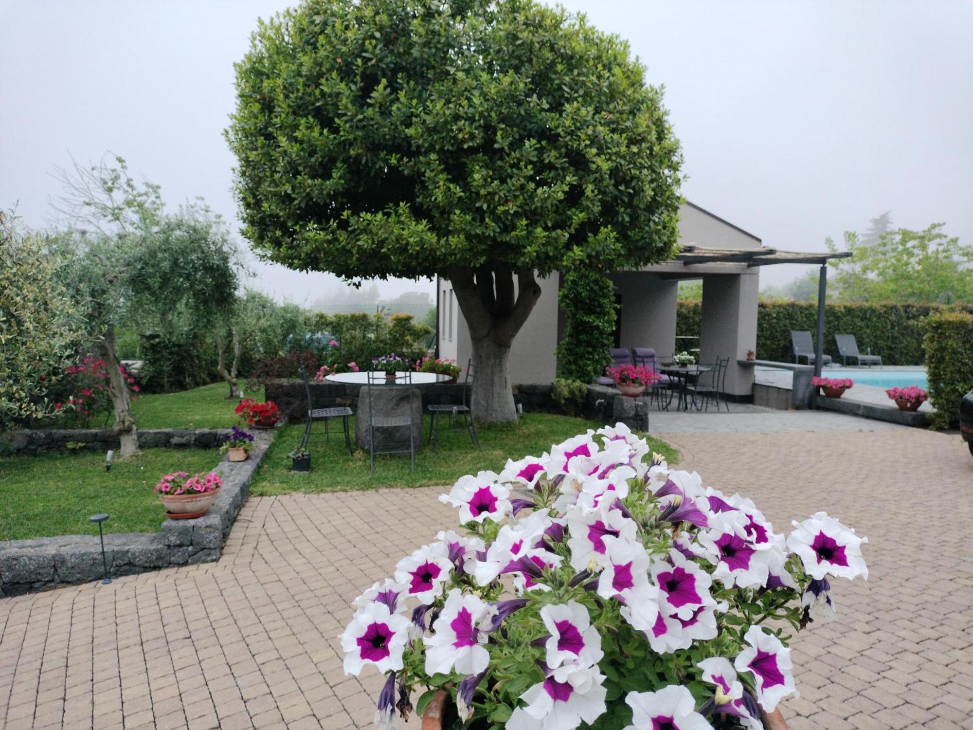 La Casa Dell'Alloro Zafferana Etnea Ngoại thất bức ảnh