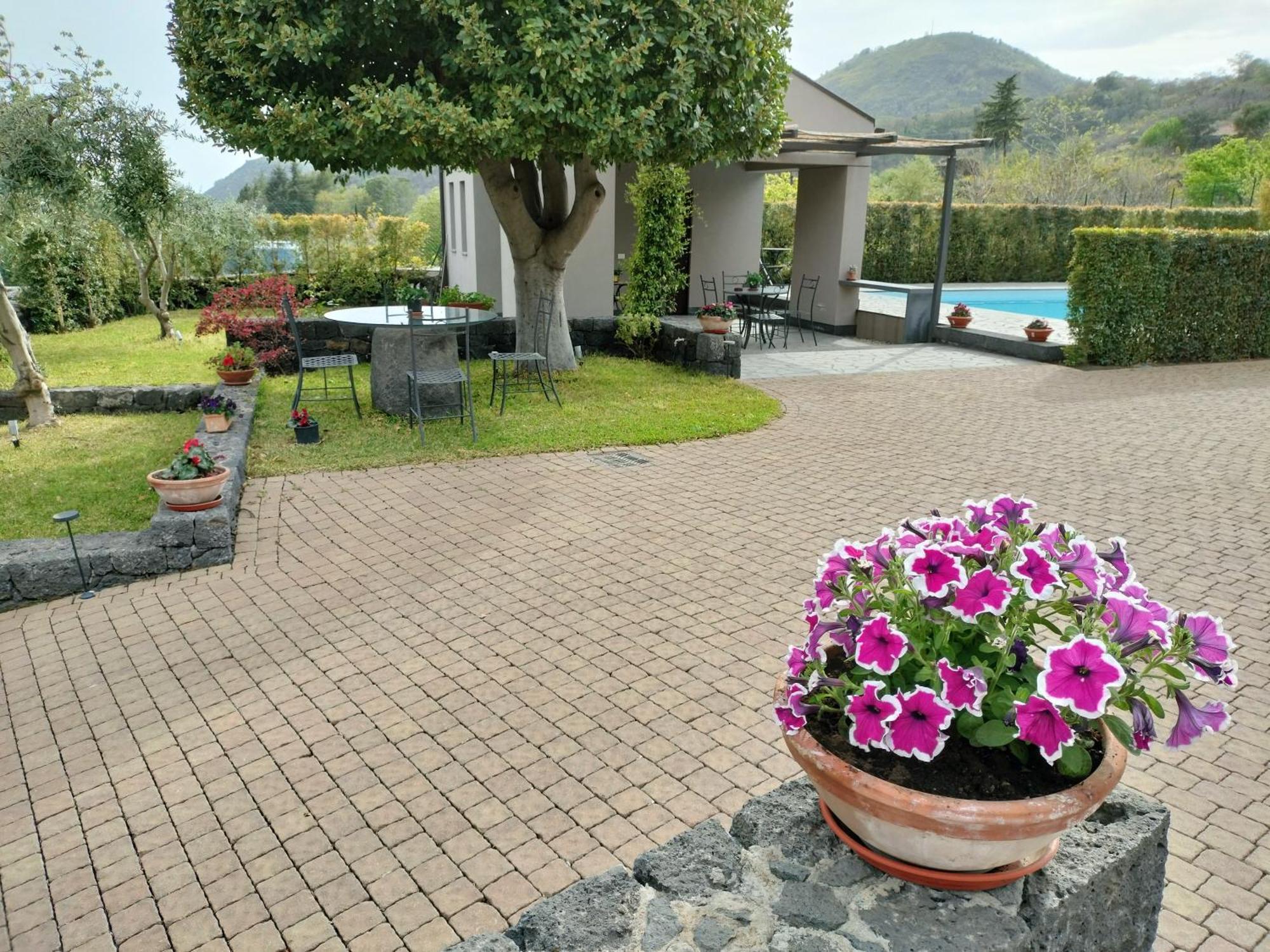 La Casa Dell'Alloro Zafferana Etnea Ngoại thất bức ảnh